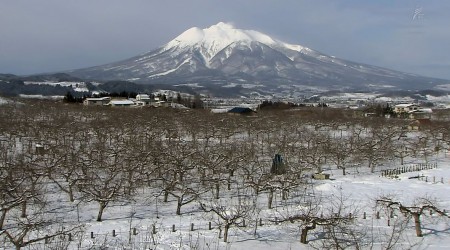 winter