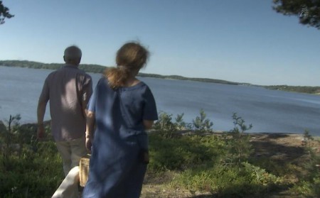 After getting through the forest, a lake appears.